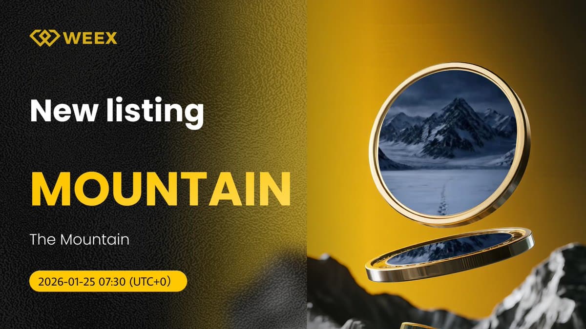 WEEX交易所行情_WEEX交易平台行情-非小号