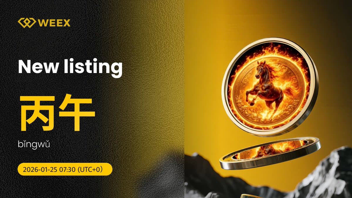 WEEX交易所行情_WEEX交易平台行情-非小号